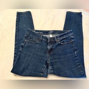 Ann Taylor Loft Modern Skinny